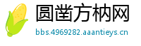 圆凿方枘网